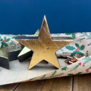Recycled Rustic Star