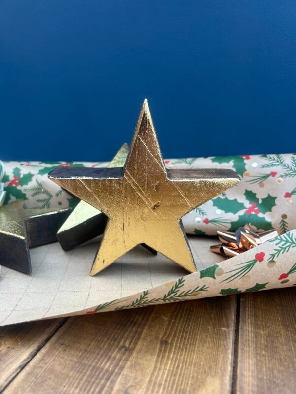 Recycled Rustic Star